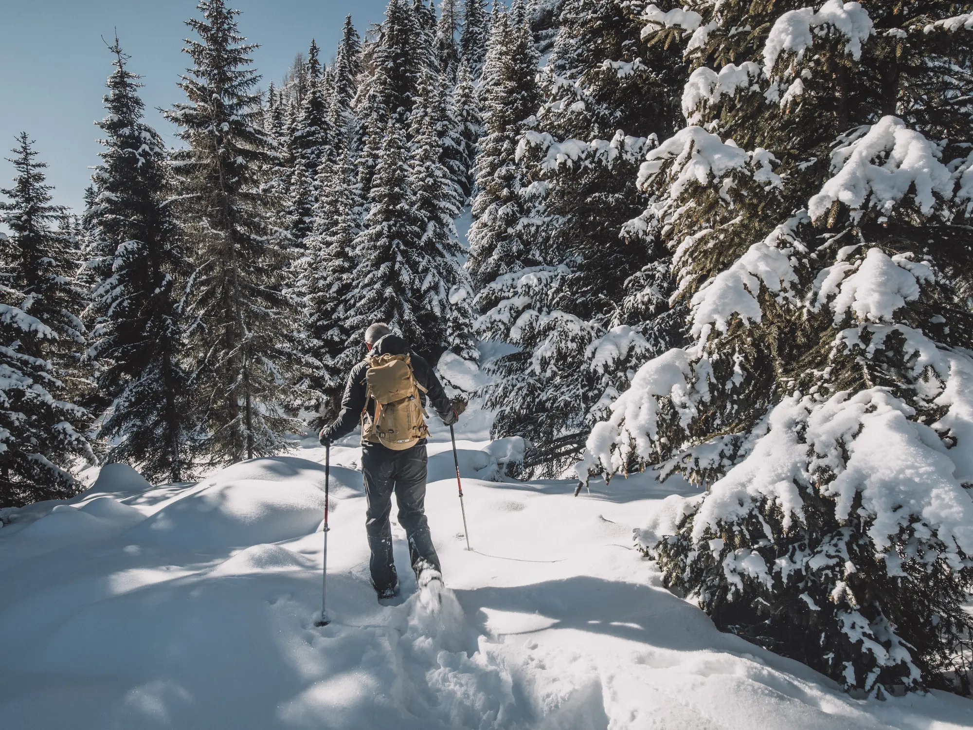 Winterzauber Nationalpark Osttirol © TVB Osttirol Maybach / Robert Klein